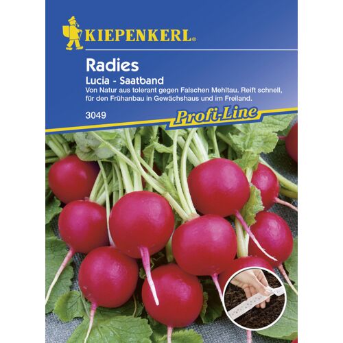Kiepenkerl Radieschen Lucia Raphanus sativus var. sativus, Inhalt: ca. 5 lfd. Meter