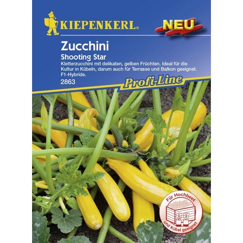 Kiepenkerl Profi-Line Zucchini Shooting Star Cucurbita pepo, Inhalt: 5 Korn