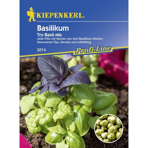 Kiepenkerl Basilikum Try-Basil-Mix Ocimum basilicum, Inhalt: ca. 20 Töpfe