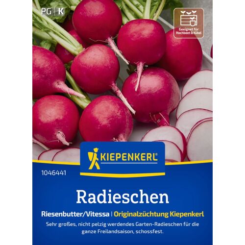 Kiepenkerl Saatgut Radieschen Riesenbutter/Vitessa für ca. 1 – 1,8 m²