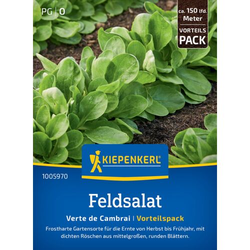 Kiepenkerl Feldsalatsamen Verte de Cambrai, Vorteilspackung