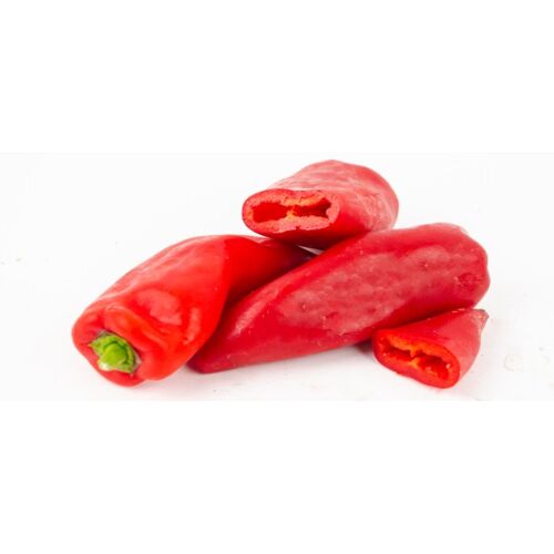 Resistente Gemüsepflanzen Spitzpaprika Capsicum rot 12 cm Topf