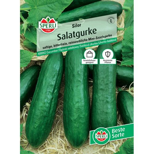 Sperli Salatgurke Silor F1