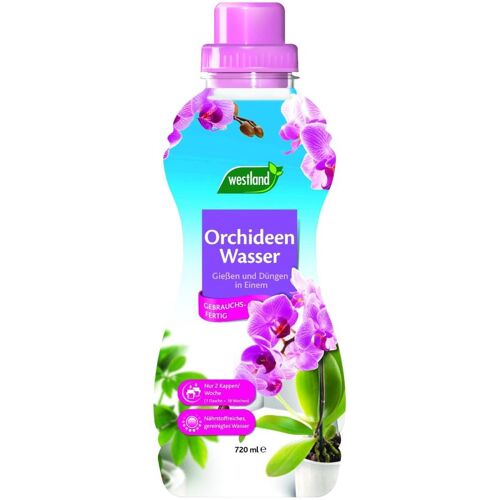 Westland Orchideen Wasser 720 ml