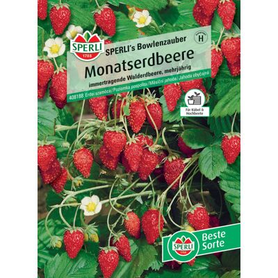 Sperli Monatserdbeere Sperli 's Bowlenzauber Sperli Monatserdbeere Sperli 's Bowlenzauber