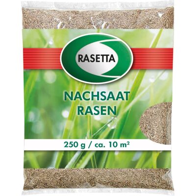 Rasetta Nachsaatrasen 250 g für 10 m² Rasetta Nachsaatrasen 250 g für 10 m²