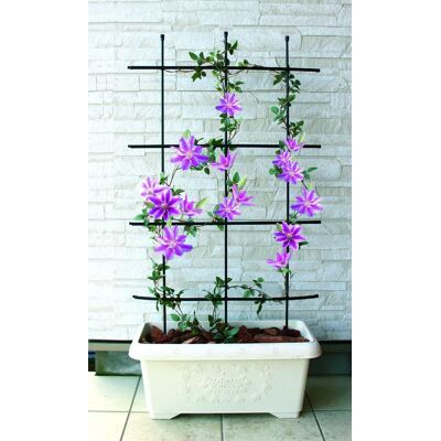 TrendLine Rankgitter 120 cm TrendLine Rankgitter 120 cm