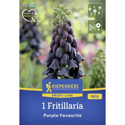 Kiepenkerl Herbstblumenzwiebel Profi-Line Persische Kaiserkrone Purple Favourite 1 Stück Kiepenkerl Herbstblumenzwiebel Profi-Line Persische Kaiserkrone Purple Favourite 1 Stück