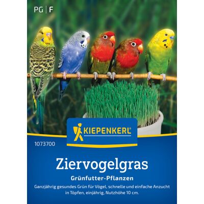 Kiepenkerl Rasensamen Ziervogelgras Frischgrün Mischung für ca. 1 m² Kiepenkerl Rasensamen Ziervogelgras Frischgrün Mischung für ca. 1 m²
