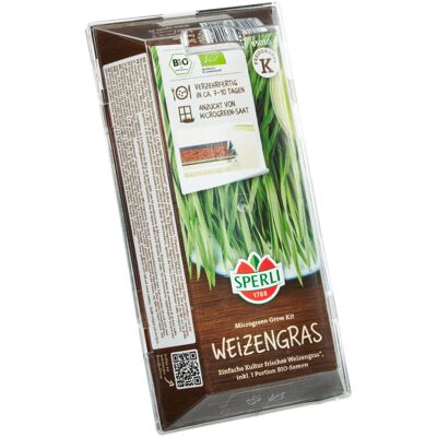 Sperli Bio Microgreen Grow Kit Anzuchtset Weizengras Sperli Bio Microgreen Grow Kit Anzuchtset Weizengras