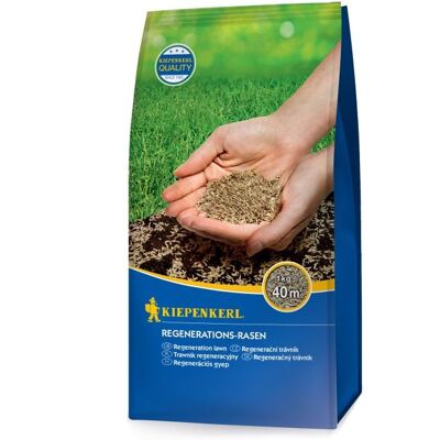 Kiepenkerl Regenerationsrasensamen 1 kg für 40 m² Kiepenkerl Regenerationsrasensamen 1 kg für 40 m²