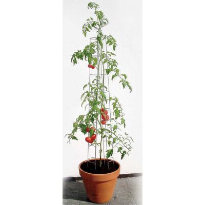 Bellissa Tomatenturm - Unterstützt Pflanzen 120cm Bellissa Tomatenturm - Unterstützt Pflanzen 120cm