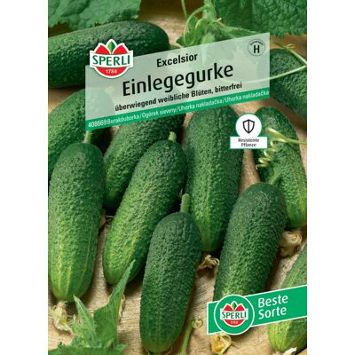 Sperli Einlegegurke Excelsior F1 Sperli Einlegegurke Excelsior F1