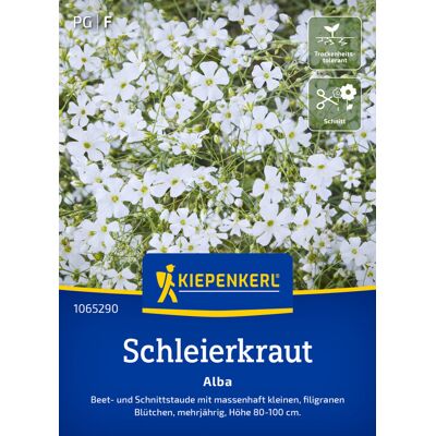 Kiepenkerl Blumensamen Schleierkraut Alba für ca. 70 Pflanzen Kiepenkerl Blumensamen Schleierkraut Alba für ca. 70 Pflanzen