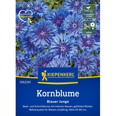 Kiepenkerl Blumensamen Kornblume Blauer Junge für ca. 80 Pflanzen Kiepenkerl Blumensamen Kornblume Blauer Junge für ca. 80 Pflanzen