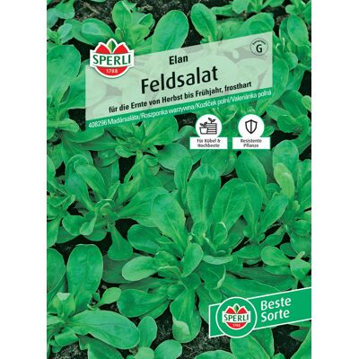 Sperli Feldsalat Elan Sperli Feldsalat Elan