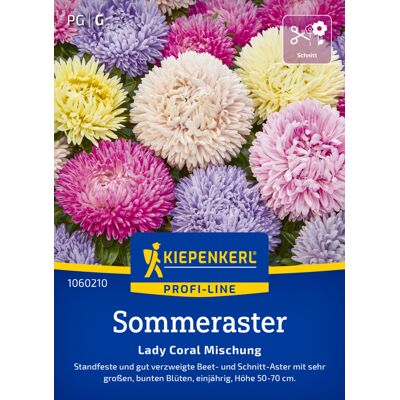 Kiepenkerl Profi-Line Blumensamen Sommeraster Lady Carol Mischung für ca. 50 Pflanzen Kiepenkerl Profi-Line Blumensamen Sommeraster Lady Carol Mischung für ca. 50 Pflanzen