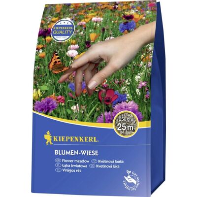 Kiepenkerl - Samen Blumen-Wiese ca. 25 qm - Blumen, Kräuter, Gräser - Produktnummer: 0693107787 Kiepenkerl - Samen Blumen-Wiese ca. 25 qm - Blumen, Kräuter, Gräser - Produktnummer: 0693107787
