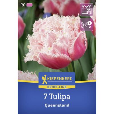 Kiepenkerl Herbstblumenzwiebel Profi-Line Tulpe Queensland 7 Stück Kiepenkerl Herbstblumenzwiebel Profi-Line Tulpe Queensland 7 Stück
