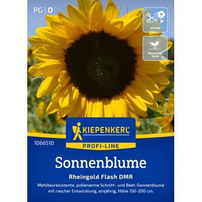 Kiepenkerl Profi-Line Blumensamen Sonnenblumen Rheingold Flash DMR F1 für ca. 15 Pflanzen Kiepenkerl Profi-Line Blumensamen Sonnenblumen Rheingold Flash DMR F1 für ca. 15 Pflanzen
