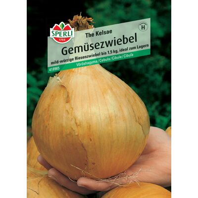 Sperli Gemüsezwiebel The Kelsae Sperli Gemüsezwiebel The Kelsae