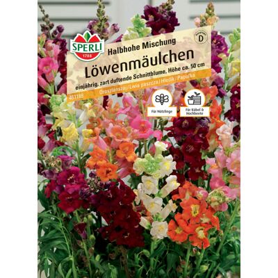 Sperli Löwenmäulchen Halbhohe Mischung Sperli Löwenmäulchen Halbhohe Mischung