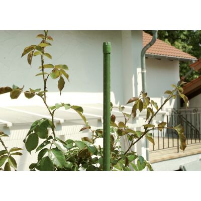 Floraworld Stahlrohr-Pflanzstab grün 270 cm Floraworld Stahlrohr-Pflanzstab grün 270 cm