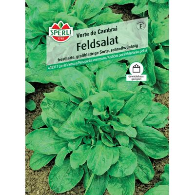 Sperli Feldsalat Verte de Cambrai Sperli Feldsalat Verte de Cambrai