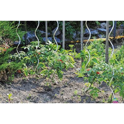 Bellissa Tomatenspiralstab 180 cm Bellissa Tomatenspiralstab 180 cm