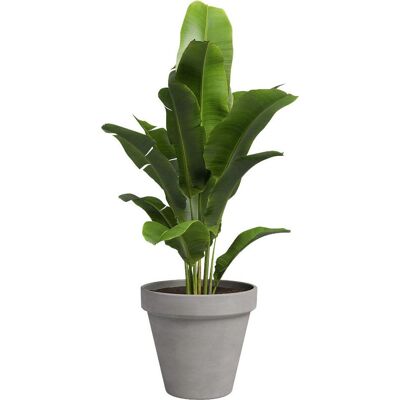 Artevasi Pflanztopf Amália Terrakotta grau Ø 21 x 19 cm Artevasi Pflanztopf Amália Terrakotta grau Ø 21 x 19 cm
