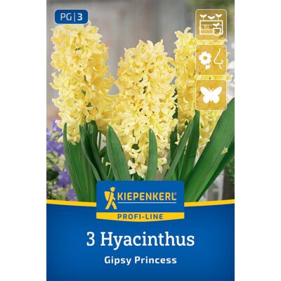 Kiepenkerl Herbstblumenzwiebel Hyazinthen Gipsy Princess 3 Stück Kiepenkerl Herbstblumenzwiebel Hyazinthen Gipsy Princess 3 Stück