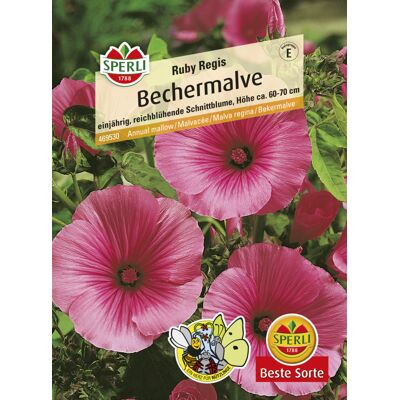 Sperli Bechermalve Ruby Regis Sperli Bechermalve Ruby Regis