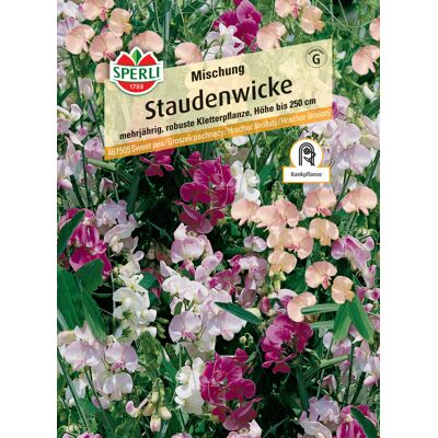Sperli Staudenwicke Mischung Sperli Staudenwicke Mischung