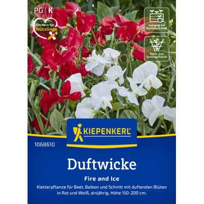 Kiepenkerl Blumensamen Duftwicke Fire and Ice für ca. 25 Pflanzen Kiepenkerl Blumensamen Duftwicke Fire and Ice für ca. 25 Pflanzen