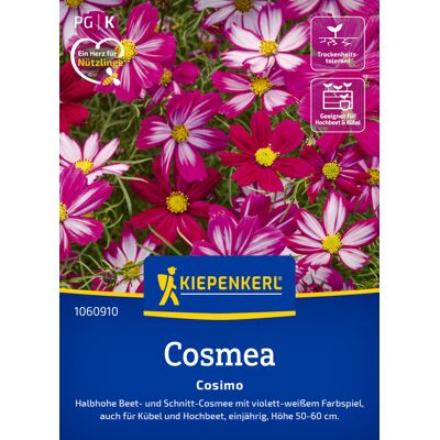 Kiepenkerl Blumensamen Cosmos Cosimo für ca. 30 Pflanzen Kiepenkerl Blumensamen Cosmos Cosimo für ca. 30 Pflanzen
