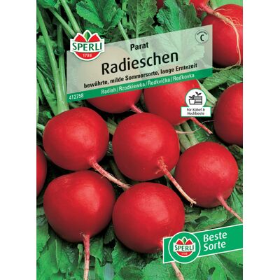 Sperli Radieschen Parat Sperli Radieschen Parat