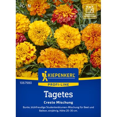 Kiepenkerl Profi-Line Blumensamen Tagetes Cresto Mischung für ca. 60 Pflanzen Kiepenkerl Profi-Line Blumensamen Tagetes Cresto Mischung für ca. 60 Pflanzen