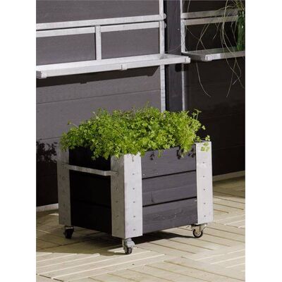 Plus Blumenkasten Cubic 47 x 50 x 47 cm schwarz mit Räder Plus Blumenkasten Cubic 47 x 50 x 47 cm schwarz mit Räder