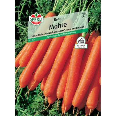 Sperli Möhre Rotin Sperli Möhre Rotin