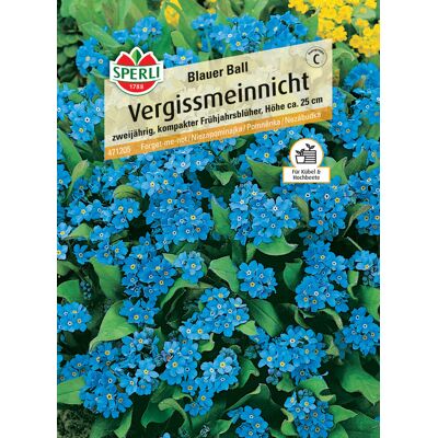 Sperli Vergissmeinnicht Blauer Ball Sperli Vergissmeinnicht Blauer Ball