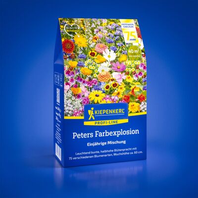 Kiepenkerl Profi-Line Blumensamen Blumenmischung Peters Farbexplosion 40 g für ca. 2 - 3 m² Kiepenkerl Profi-Line Blumensamen Blumenmischung Peters Farbexplosion 40 g für ca. 2 - 3 m²