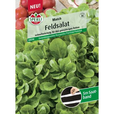 Sperli Saatgut Feldsalat Match für ca. 4 – 7,5 m² Sperli Saatgut Feldsalat Match für ca. 4 – 7,5 m²
