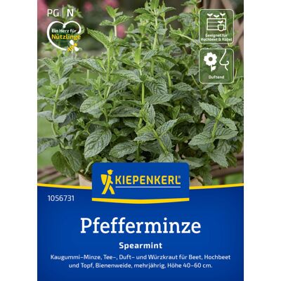 Kiepenkerl Kräutersamen Pfefferminz Spearmint für ca. 200 Pflanzen Kiepenkerl Kräutersamen Pfefferminz Spearmint für ca. 200 Pflanzen
