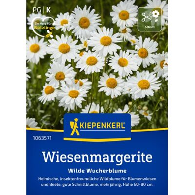 Kiepenkerl Blumensamen Wiesenmargeriten Wilde Wucherblume für ca. 300 Pflanzen Kiepenkerl Blumensamen Wiesenmargeriten Wilde Wucherblume für ca. 300 Pflanzen