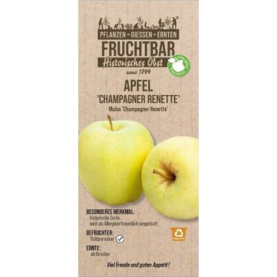 Pflanzen Historische Obstbäume Apfel Champagner Renette H 150 cm 29 cm Topf Pflanzen Historische Obstbäume Apfel Champagner Renette H 150 cm 29 cm Topf