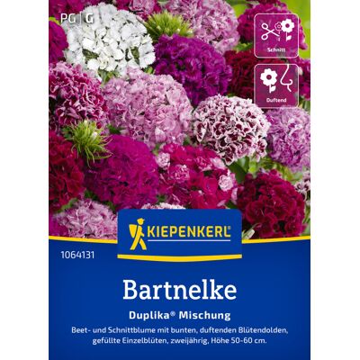 Kiepenkerl Blumensamen Bartnelke Mischung für ca. 60 Pflanzen Kiepenkerl Blumensamen Bartnelke Mischung für ca. 60 Pflanzen