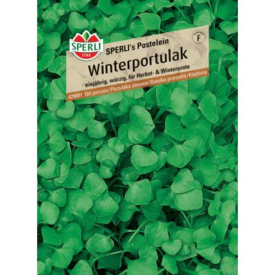 Sperli Winterportulak Sperli 's Postelein Sperli Winterportulak Sperli 's Postelein