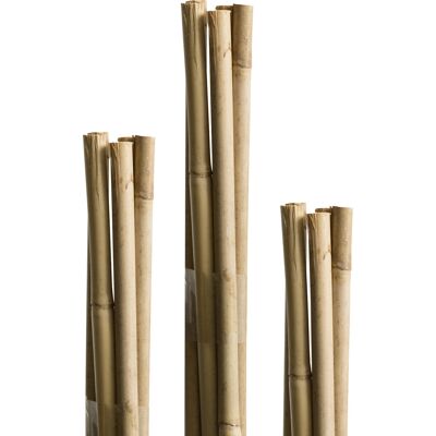 Windhager Pflanzstützen 60cm, 5/7 mm - Pflanzstäbe Windhager Pflanzstützen 60cm, 5/7 mm - Pflanzstäbe