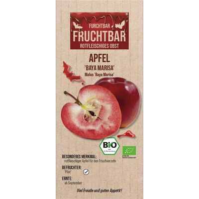 Furchtbar Fruchtbar - Malus Baya Marisa - 150 cm - Obstbaum Furchtbar Fruchtbar - Malus Baya Marisa - 150 cm - Obstbaum