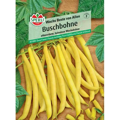 Sperli Buschbohne Wachs Beste von Allen Sperli Buschbohne Wachs Beste von Allen